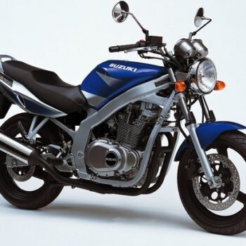 1989 - 1999 SUZUKI GS500E Bandit Service Manual PDF Repair Manual Download