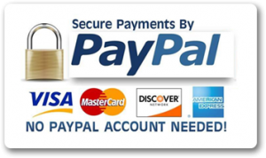 Secure Paypal Payments